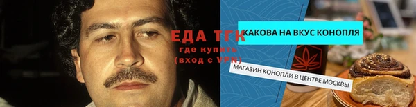 стаф Алексин