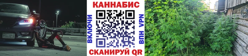 дарнет шоп  Ишимбай  Марихуана план 